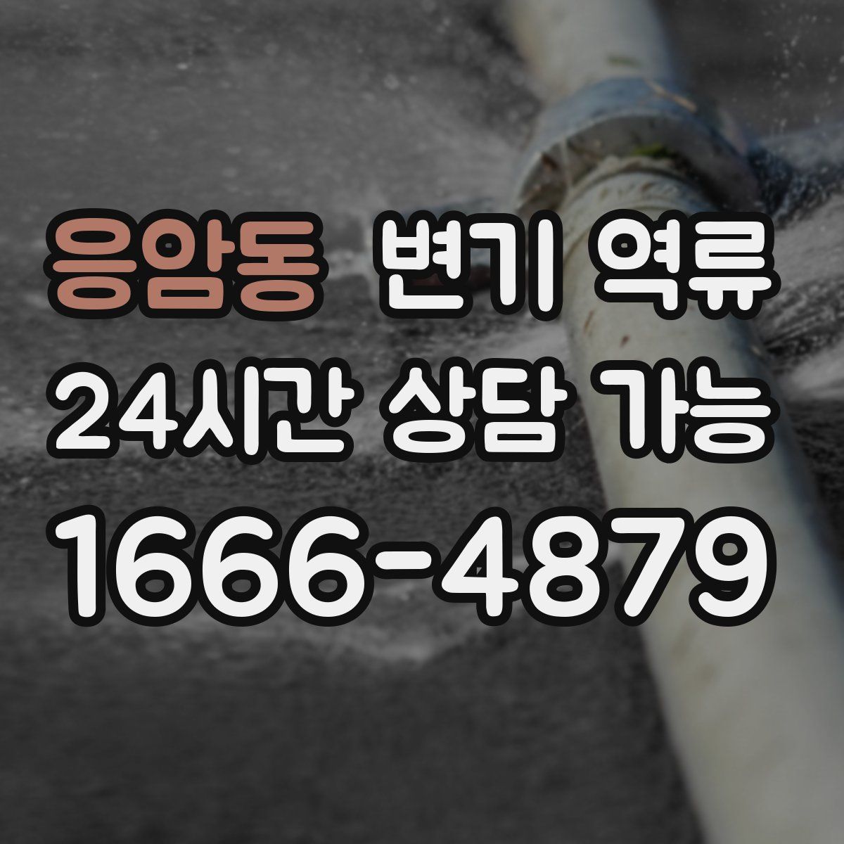 응암동 변기 역류