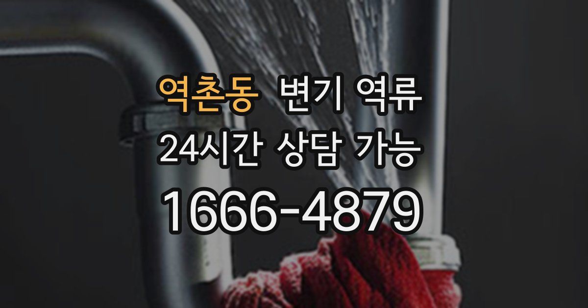 역촌동 변기 역류