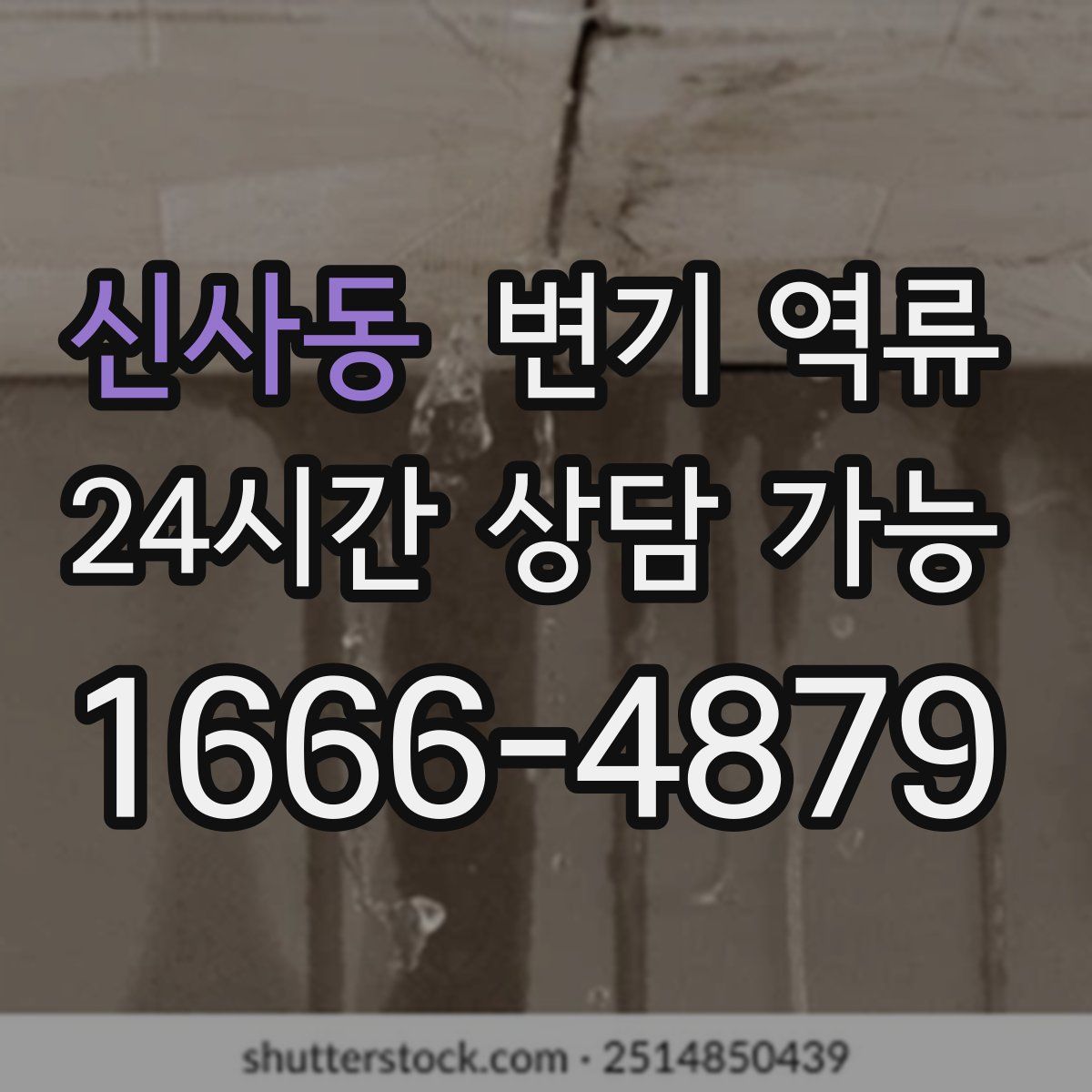 신사동 변기 역류