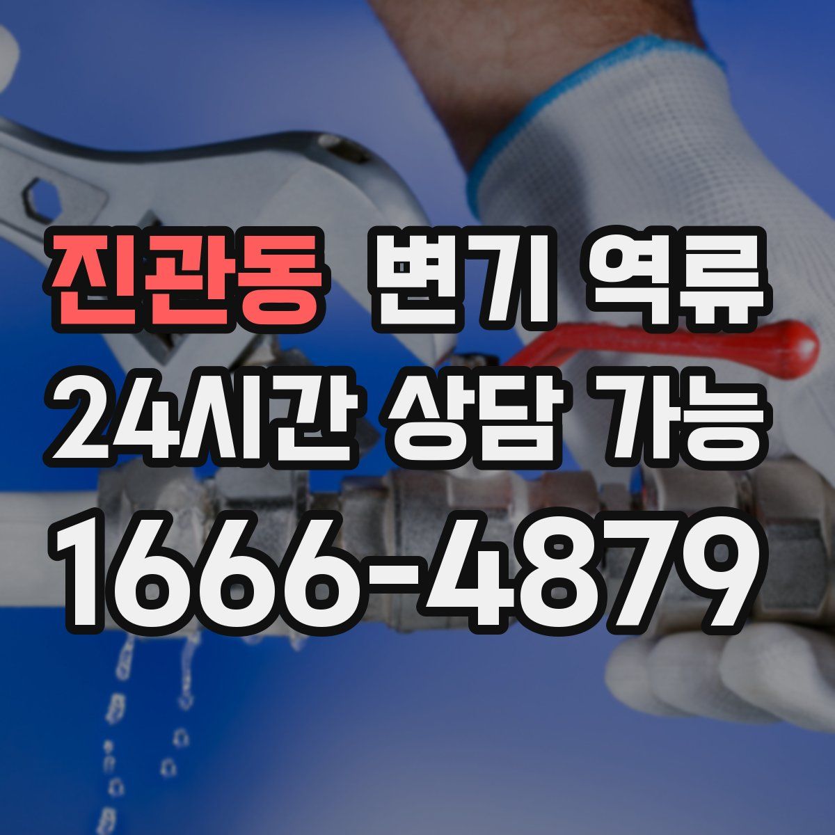 진관동 변기 역류