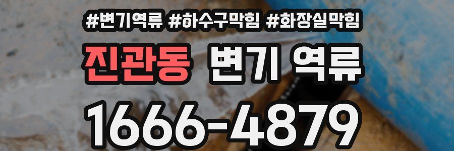 진관동 변기 역류