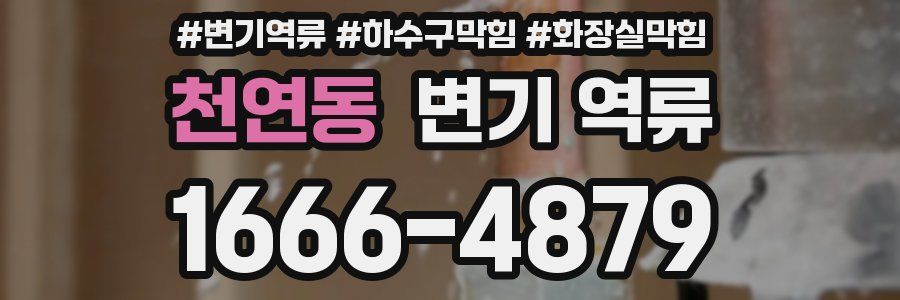 천연동 변기 역류