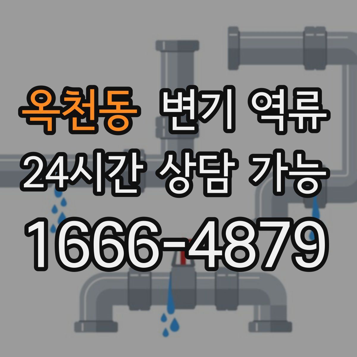 옥천동 변기 역류