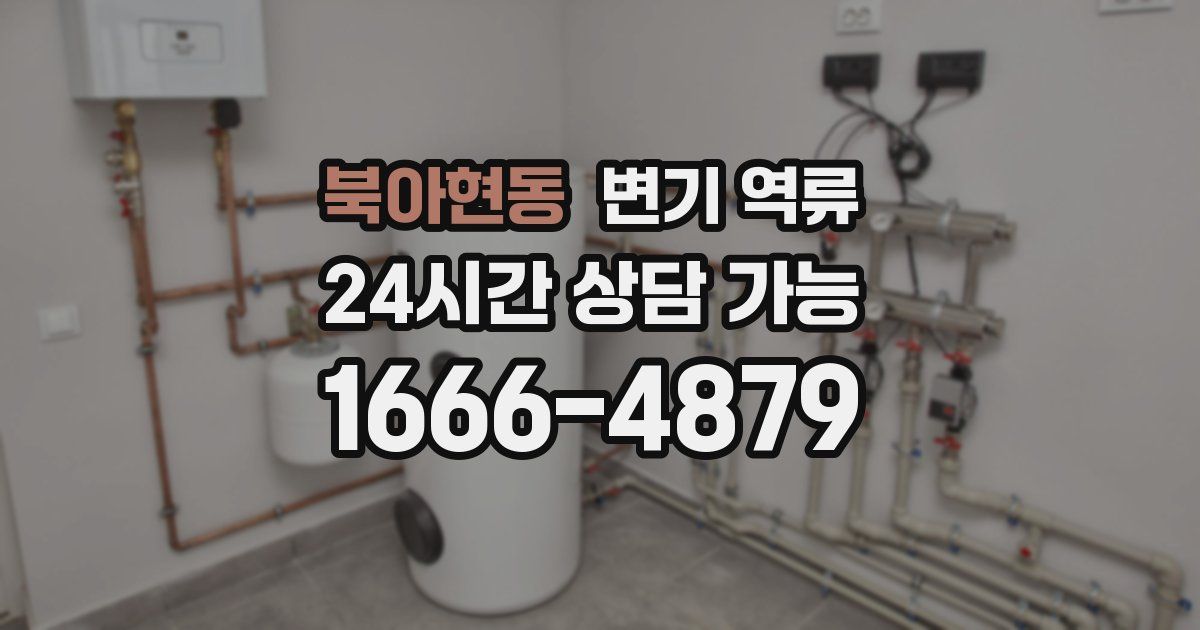 북아현동 변기 역류