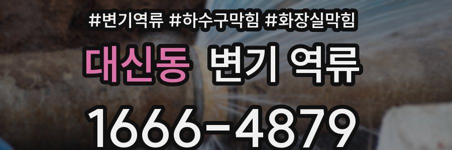 대신동 변기 역류