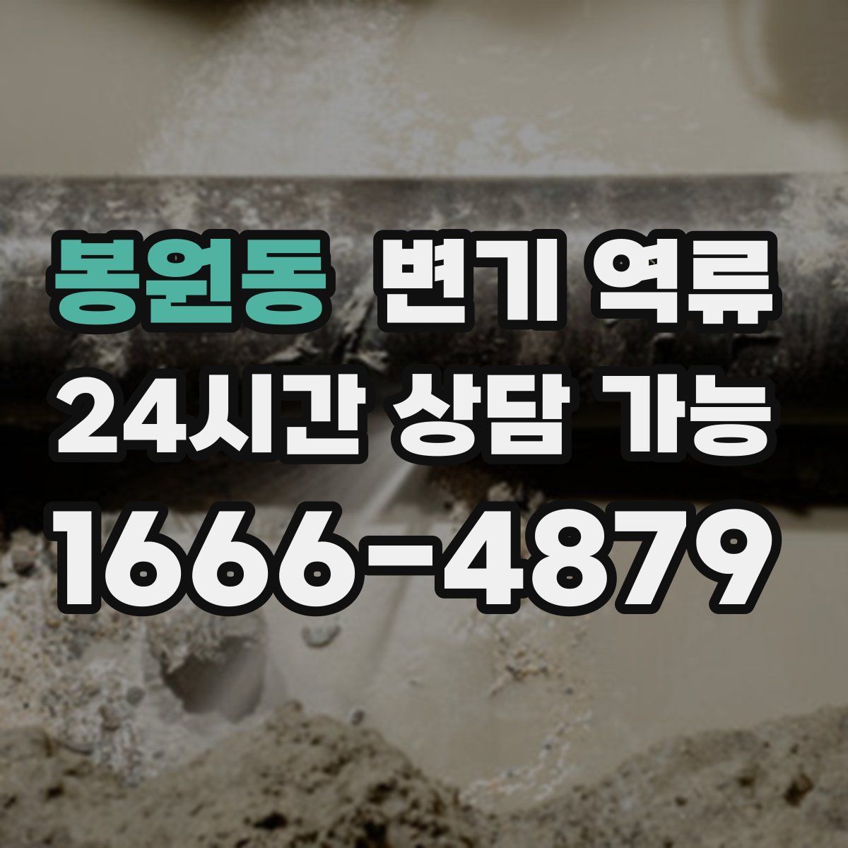 봉원동 변기 역류