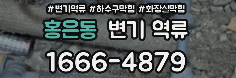 홍은동 변기 역류