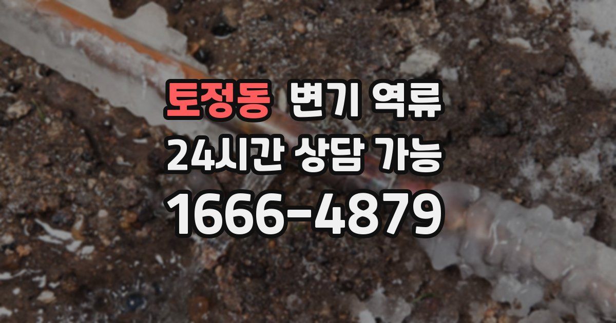 토정동 변기 역류