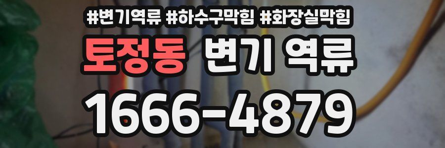 토정동 변기 역류