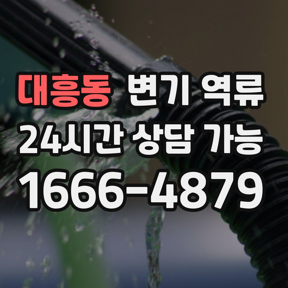 대흥동 변기 역류