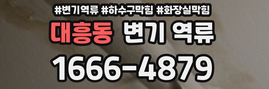 대흥동 변기 역류