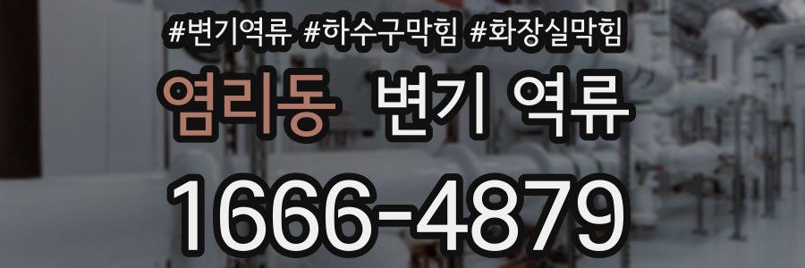 염리동 변기 역류