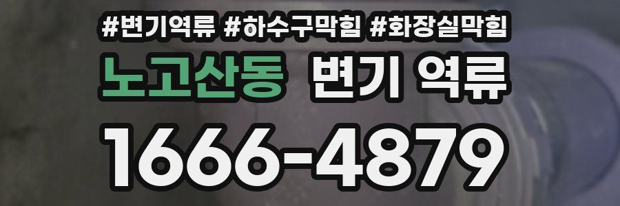 노고산동 변기 역류