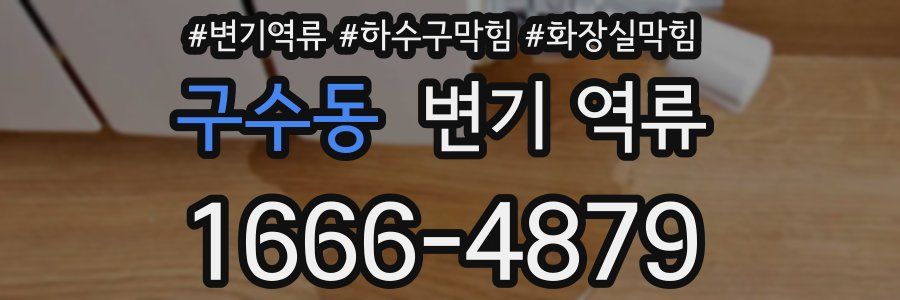 구수동 변기 역류