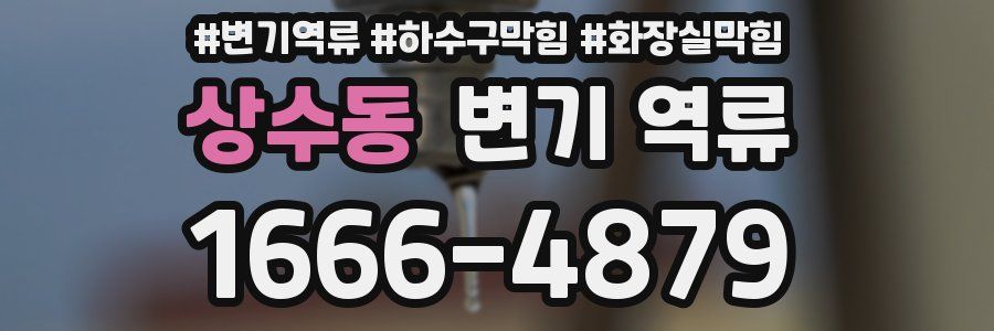 상수동 변기 역류