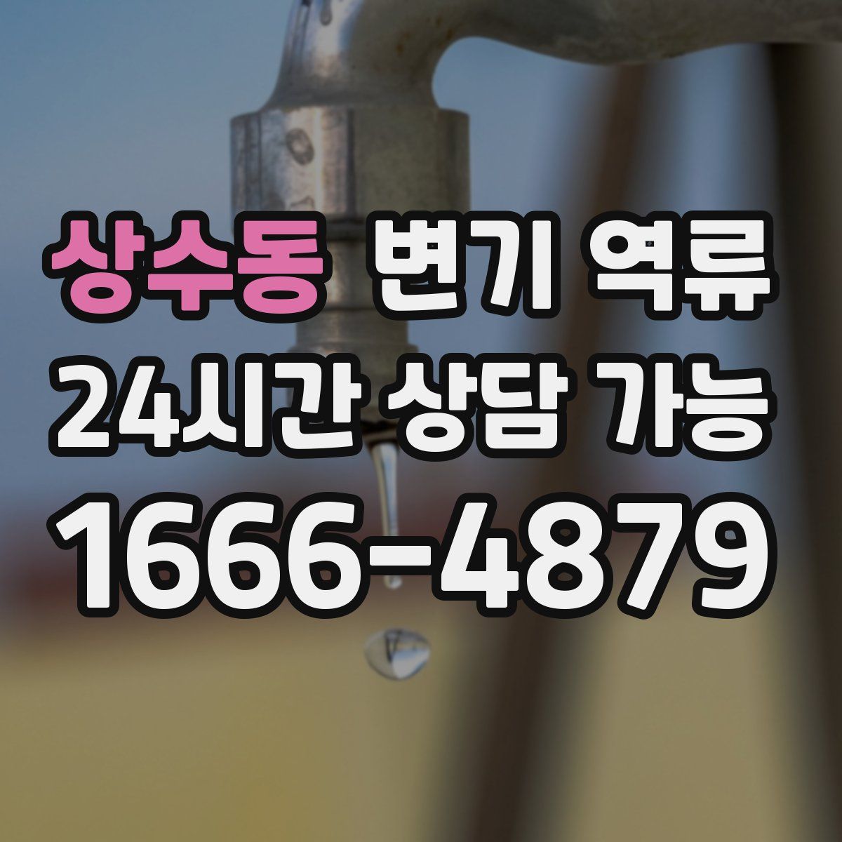 상수동 변기 역류