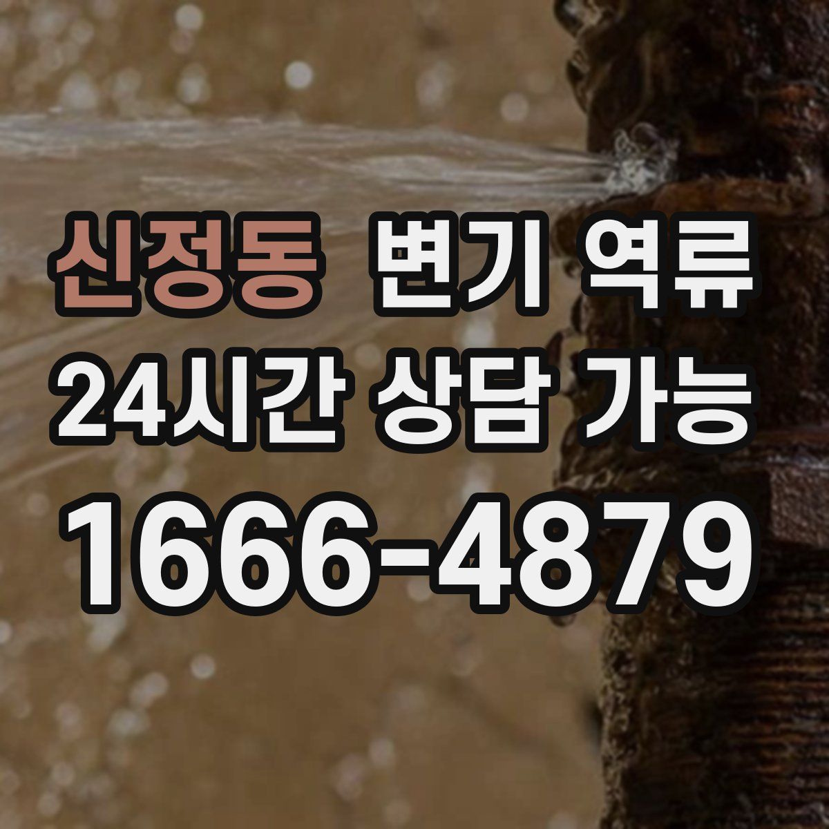 신정동 변기 역류