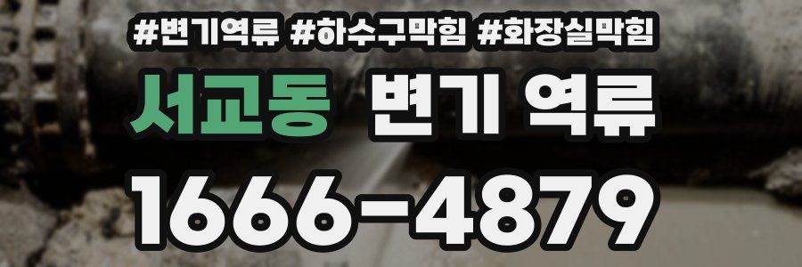 서교동 변기 역류