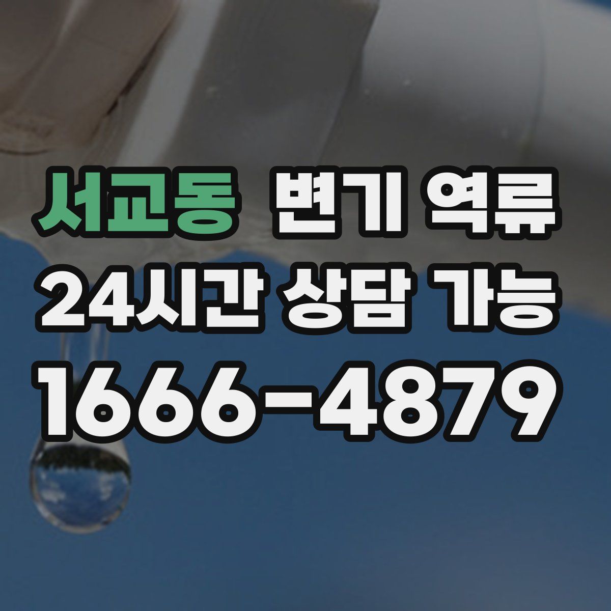 서교동 변기 역류