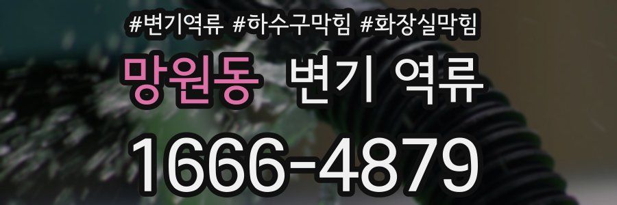 망원동 변기 역류