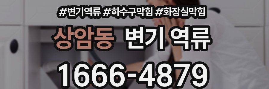 상암동 변기 역류