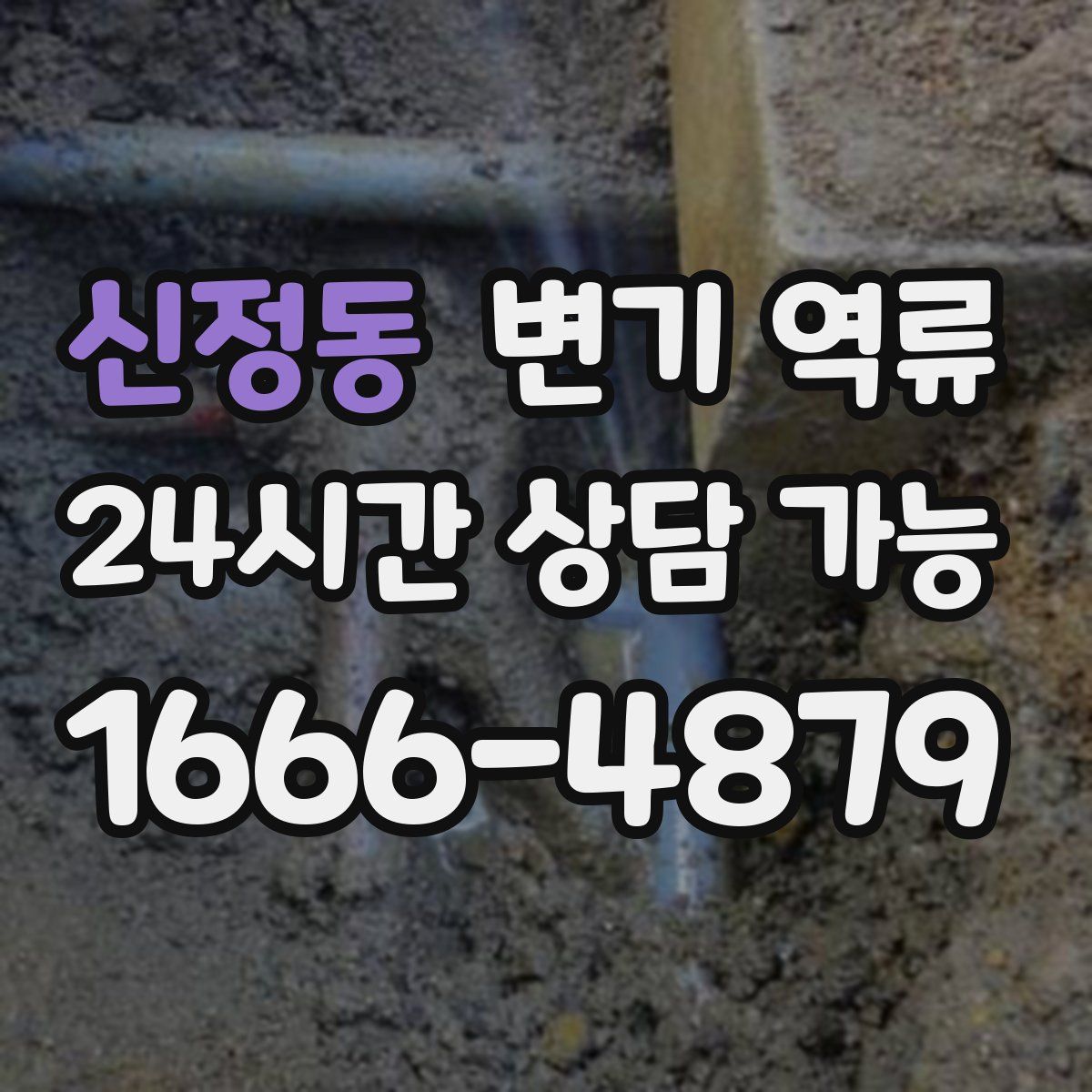 신정동 변기 역류