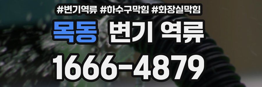 목동 변기 역류