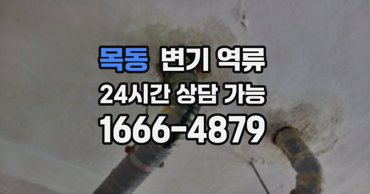 목동 변기 역류