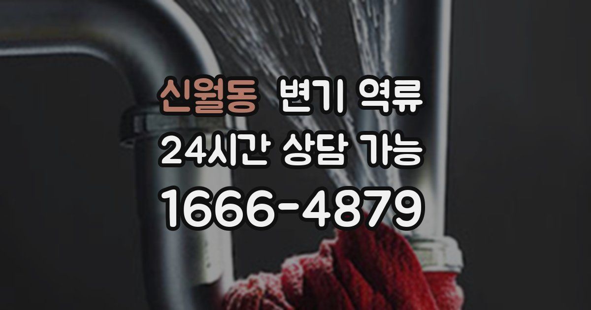 신월동 변기 역류