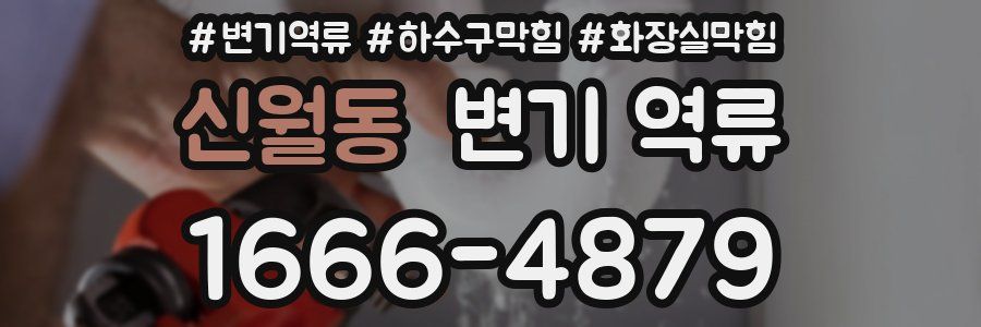 신월동 변기 역류