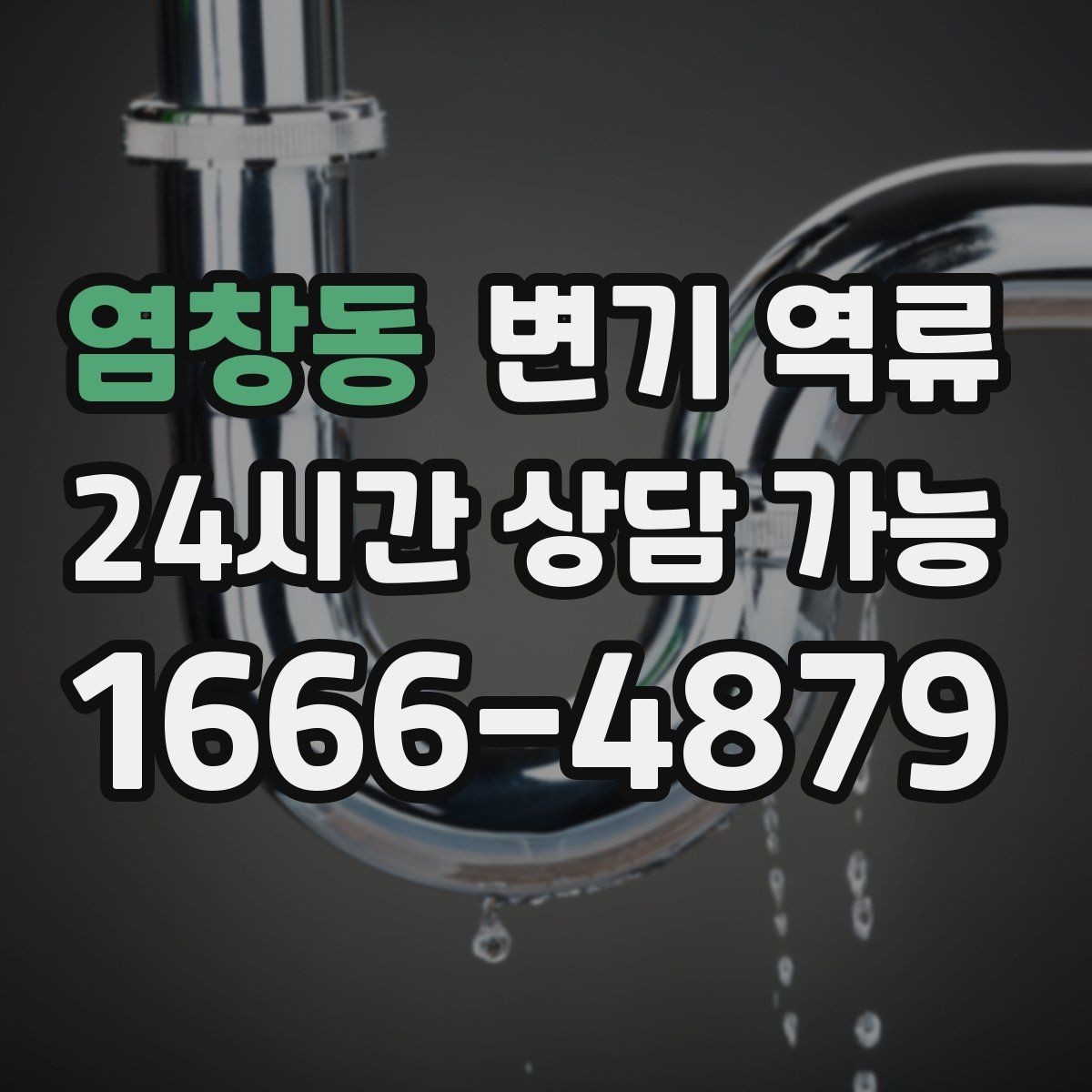 염창동 변기 역류 역류량이 많을수록 위험한 이유