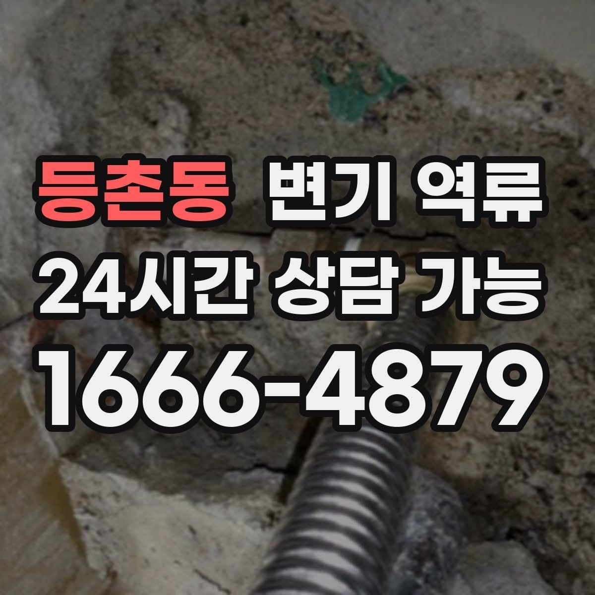 등촌동 변기 역류 초기 신호부터 재발 방지 안내이물 투입 금지/휴지 과다 사용 주의/배수