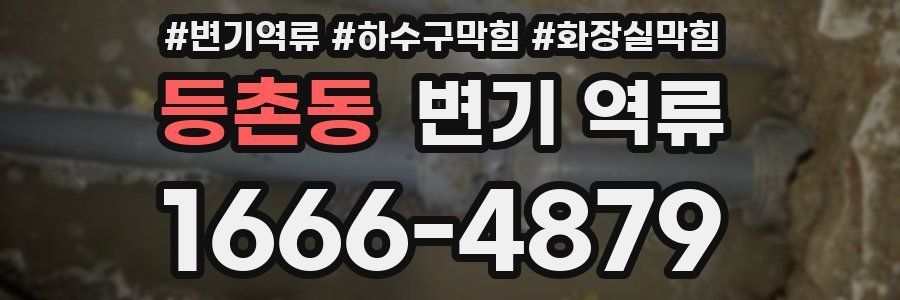 등촌동 변기 역류