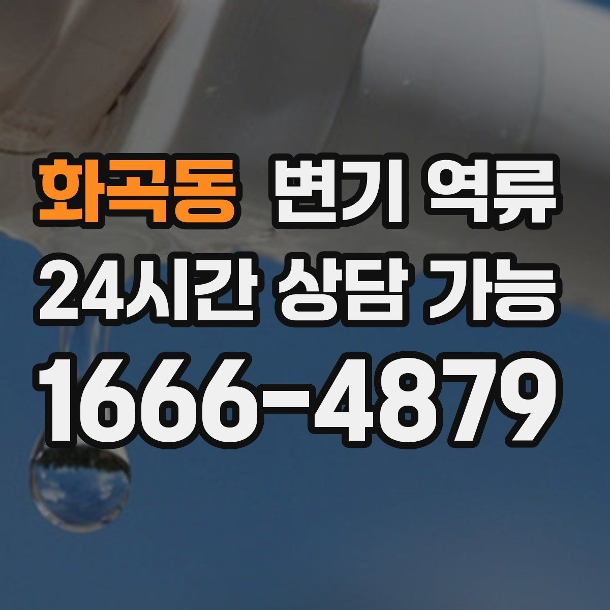 화곡동 변기 역류 후 곰팡이·습기 문제가 커지는 이유