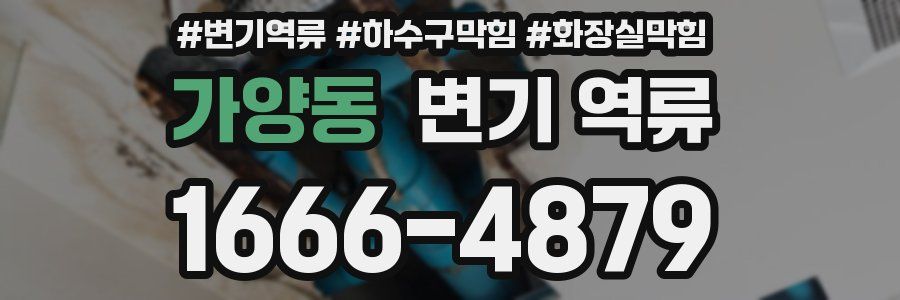 가양동 변기 역류