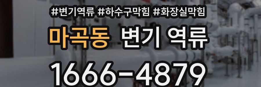마곡동 변기 역류
