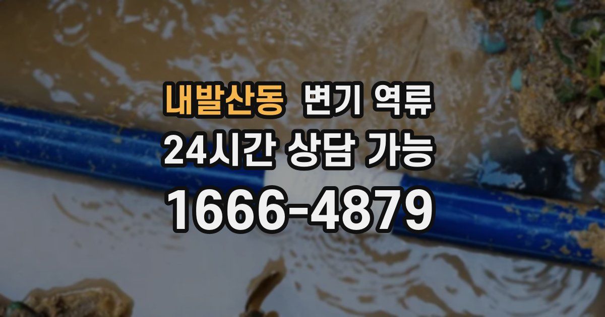 내발산동 변기 역류