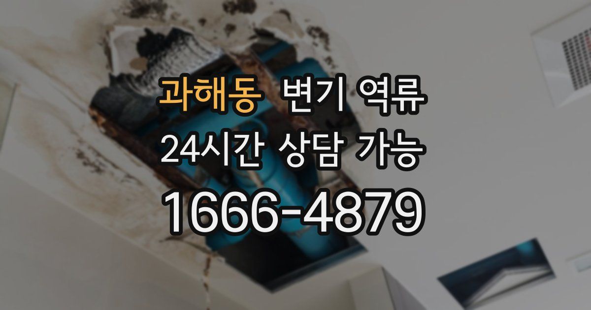 과해동 변기 역류