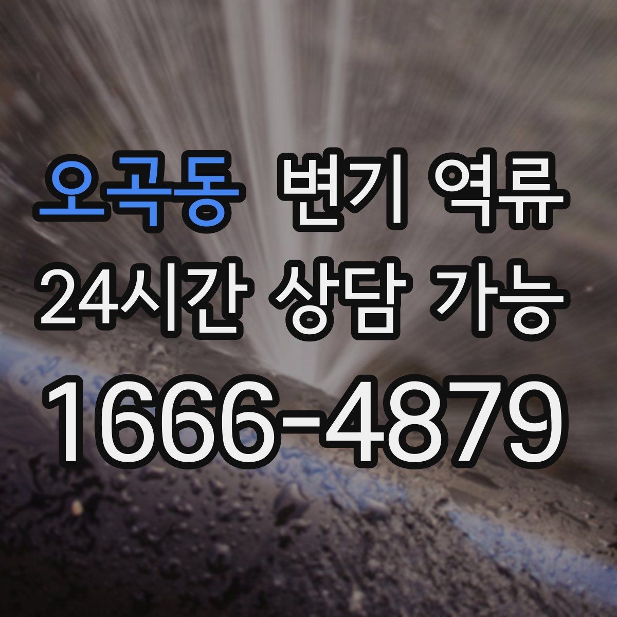 오곡동 변기 역류 여러 사람이 쓰는 화장실에서 재발 방지 안내이물 투입 금지/휴지 과다 사