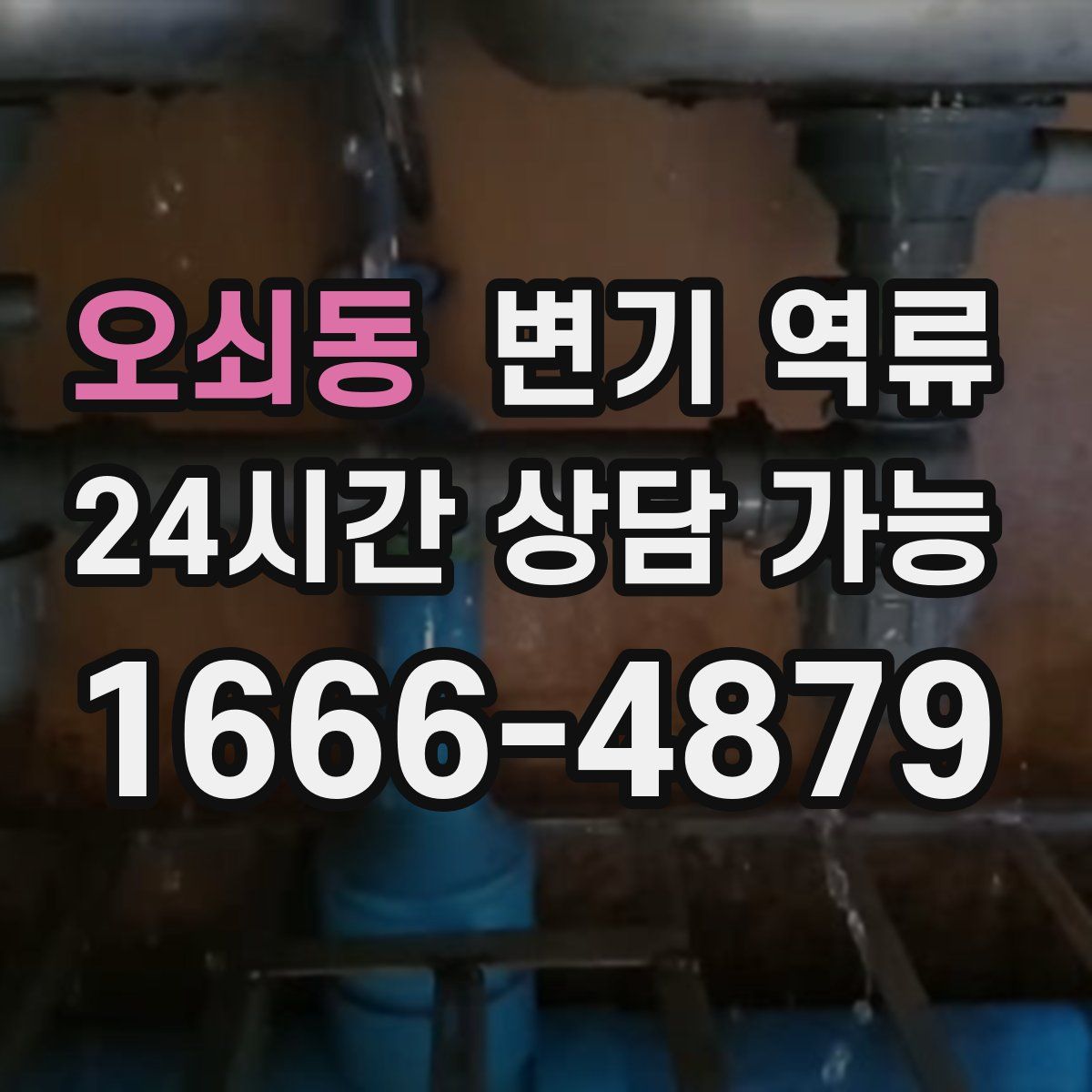 오쇠동 변기 역류