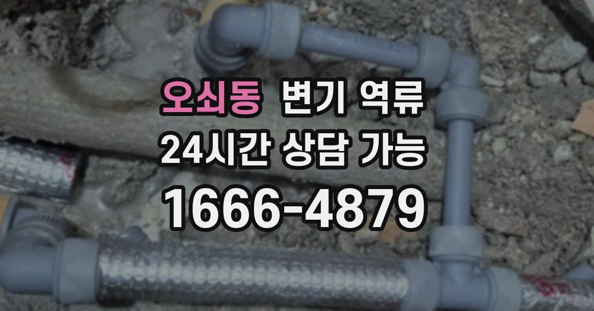 오쇠동 변기 역류