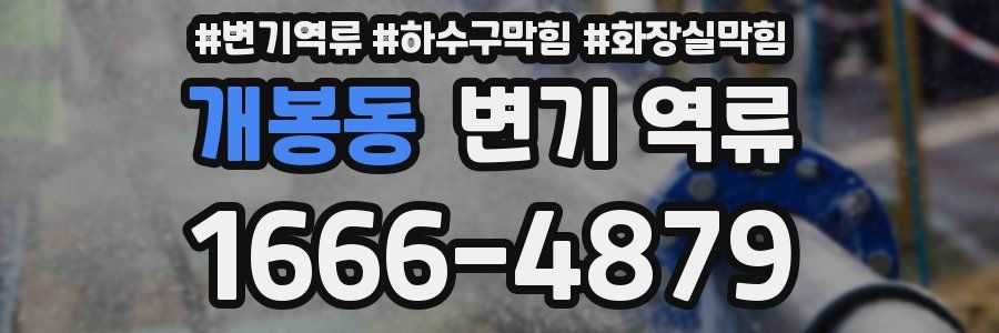 개봉동 변기 역류