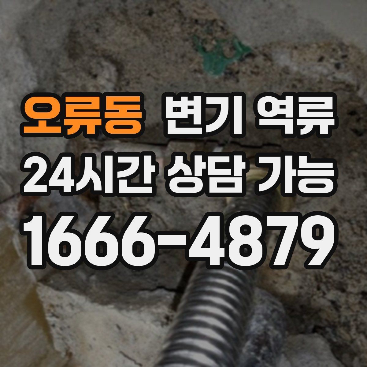 오류동 변기 역류 후 곰팡이·습기 문제가 커지는 이유