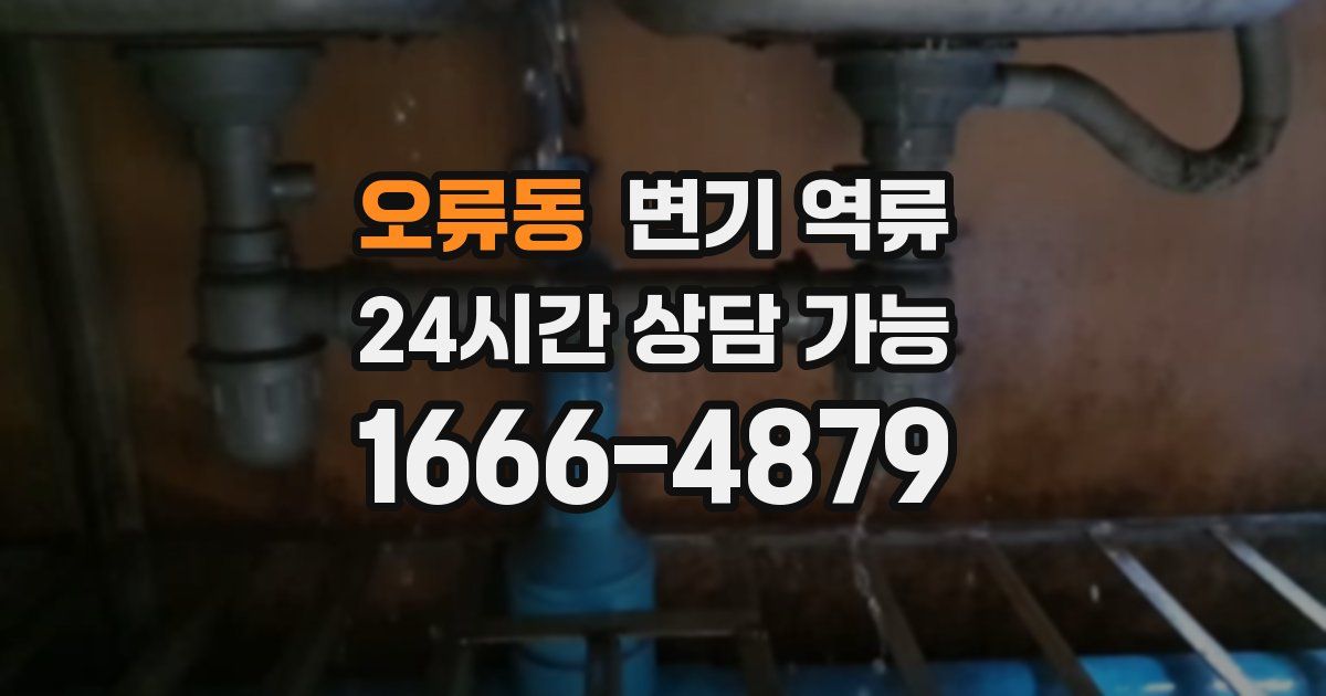 오류동 변기 역류