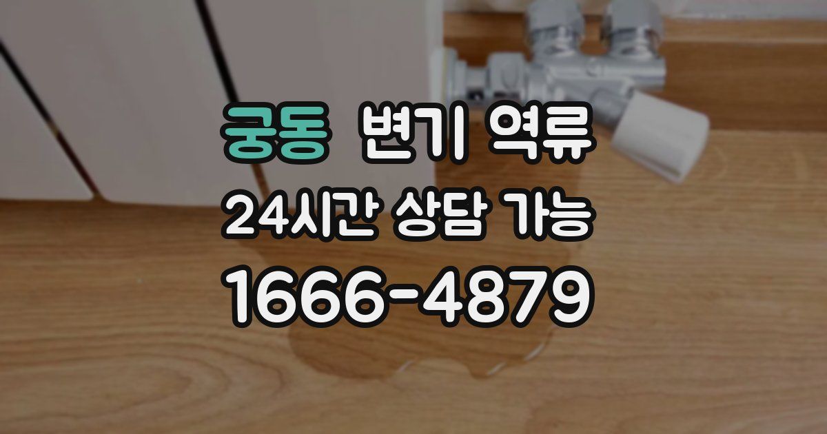 궁동 변기 역류