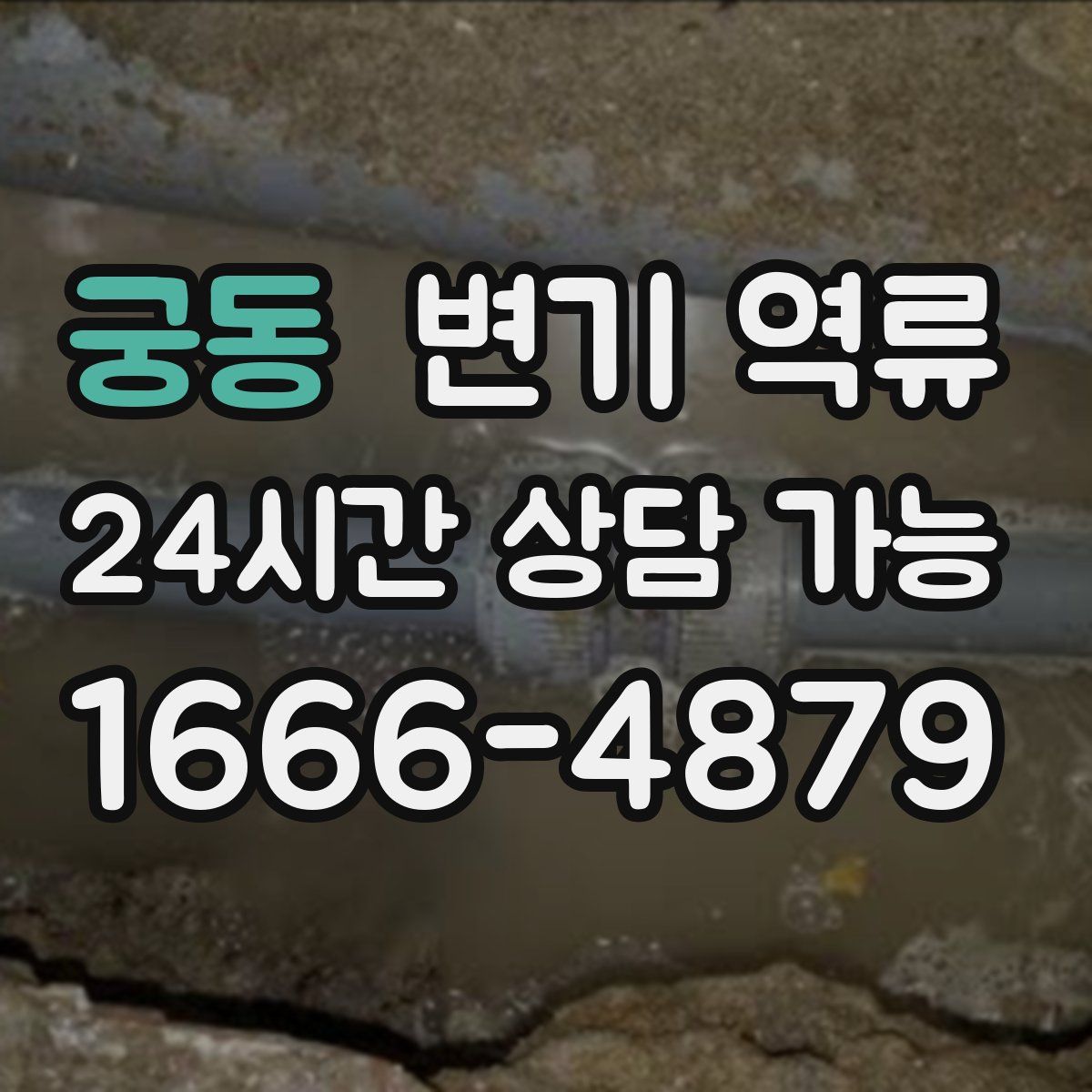 궁동 변기 역류