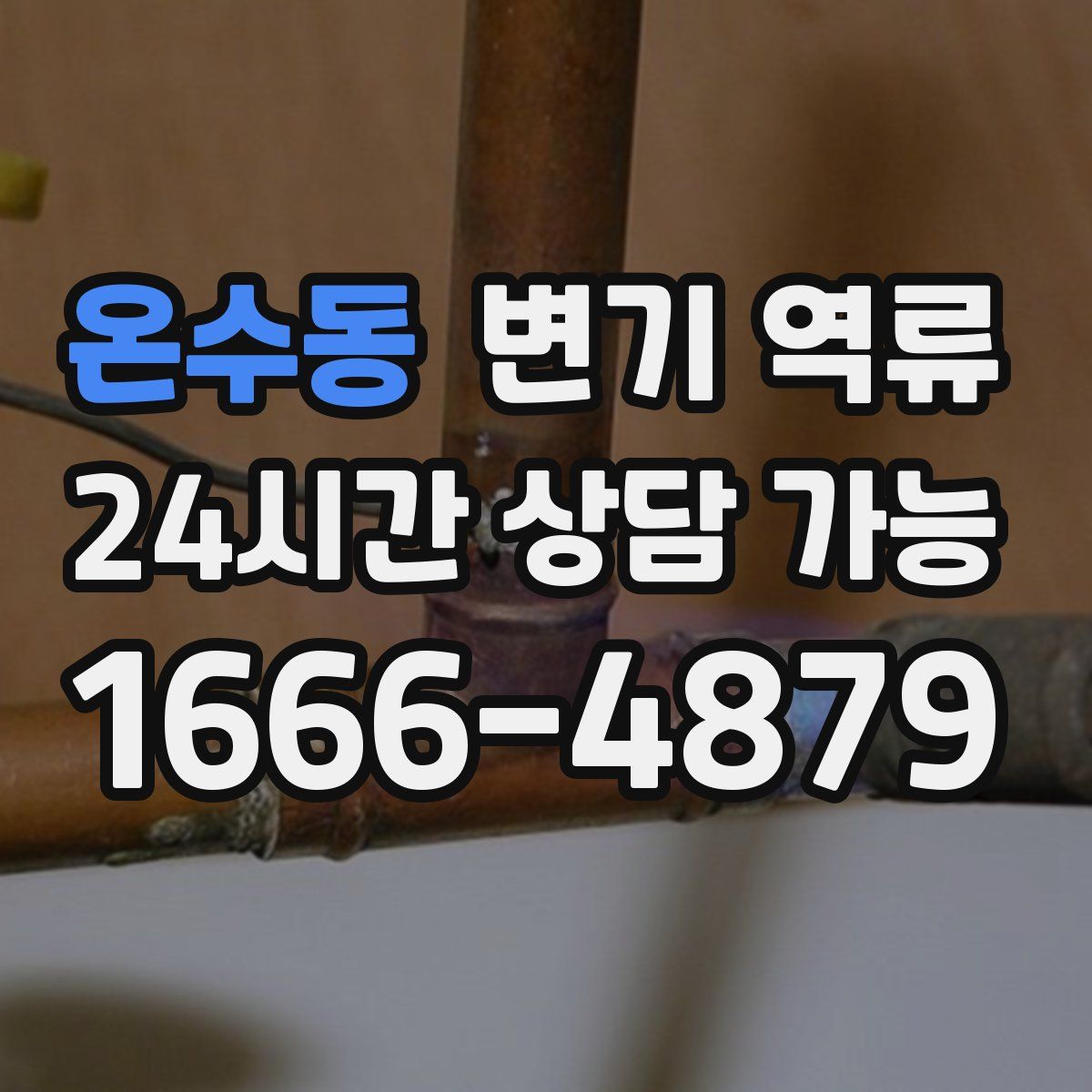 온수동 변기 역류