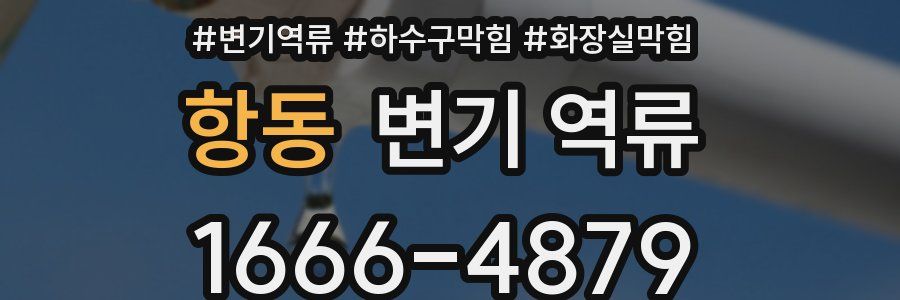 항동 변기 역류