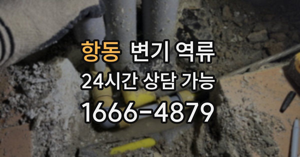 항동 변기 역류