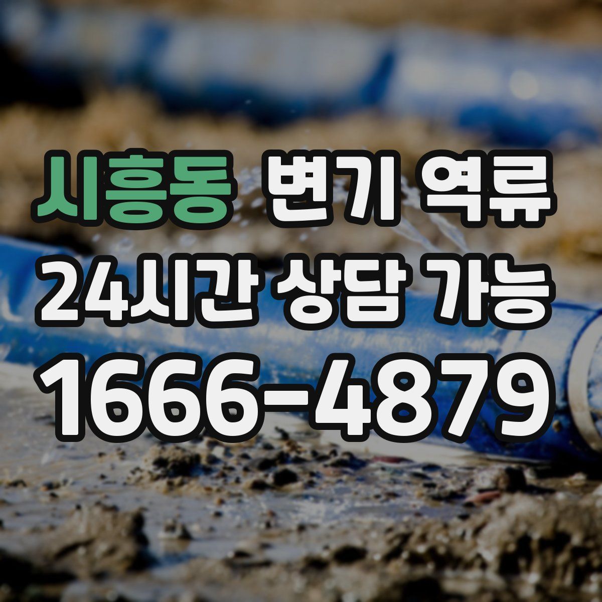 시흥동 변기 역류